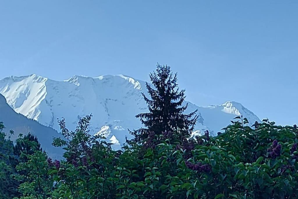 Appartement Dans Chalet - 75 M2 - 4 A 6 Personnes Saint-Gervais-les-Bains Buitenkant foto