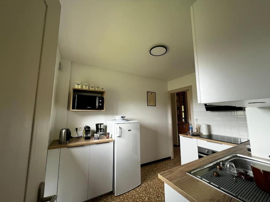Appartement Dans Chalet - 75 M2 - 4 A 6 Personnes Saint-Gervais-les-Bains Buitenkant foto