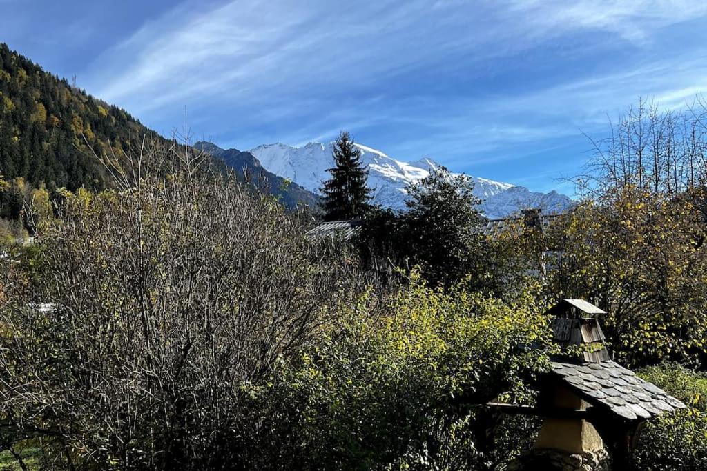 Appartement Dans Chalet - 75 M2 - 4 A 6 Personnes Saint-Gervais-les-Bains Buitenkant foto